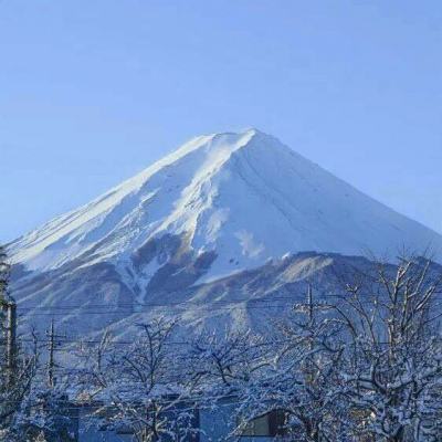 画江湖盟主侠岚篇最新手游下载
